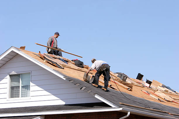 Reliable Campo, CA  Roofing repair and installation Solutions